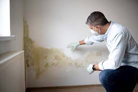 Biohazard Mold Removal in Kaukauna, WI